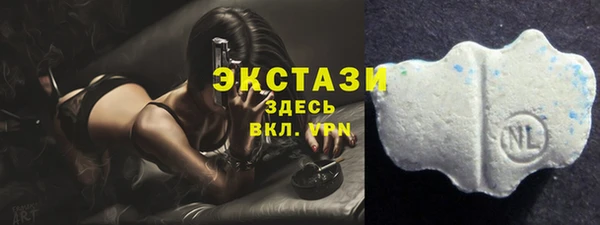 ПСИЛОЦИБИНОВЫЕ ГРИБЫ Туринск