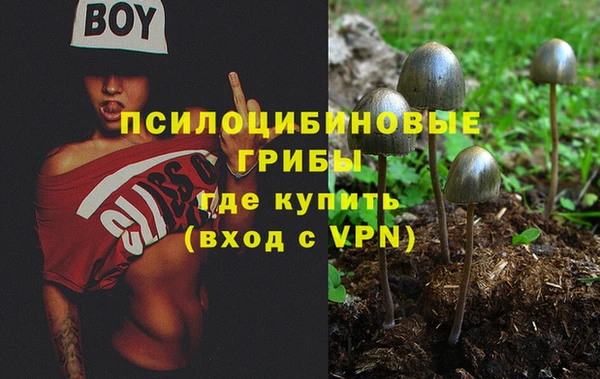 крисы Богородск