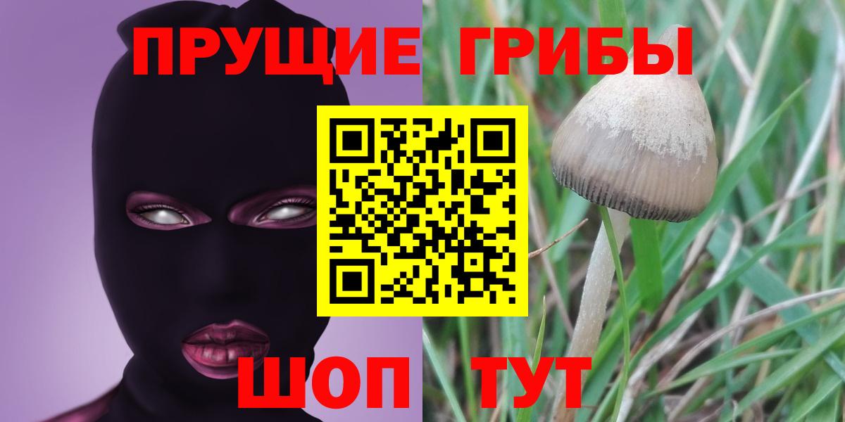 цена   Вход с VPN  Псилоцибиновые грибы мухоморы  Чайковский  Галлюциногенные грибы GOLDEN TEACHER 